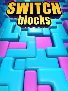 game pic for Switch Blocks